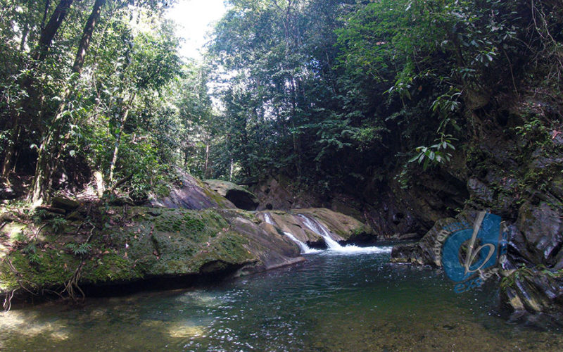 Aripo Lower Waterfall and River | Make life your adventure.